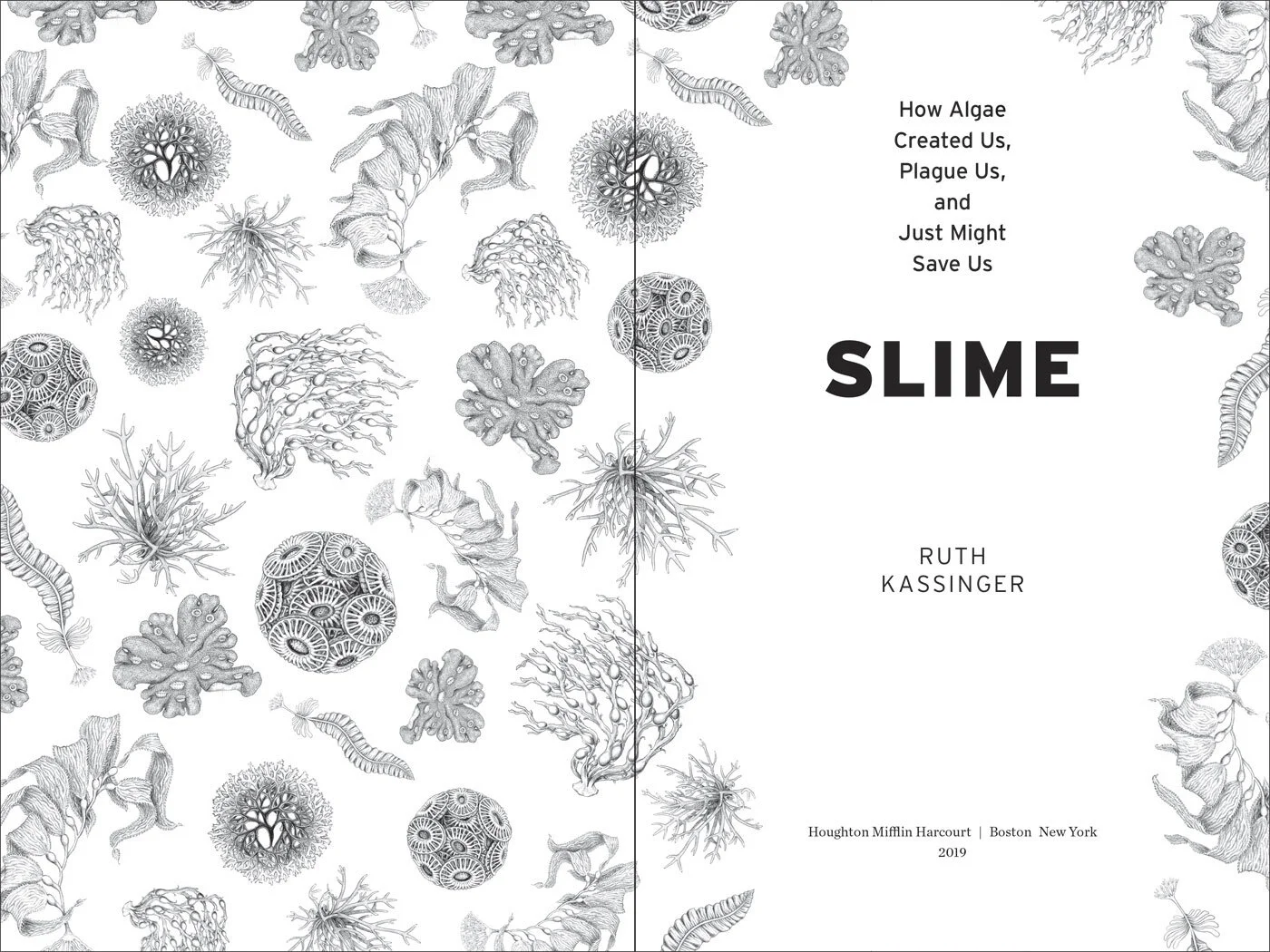 Kassinger_SLIME_ii-iii_frames.jpg