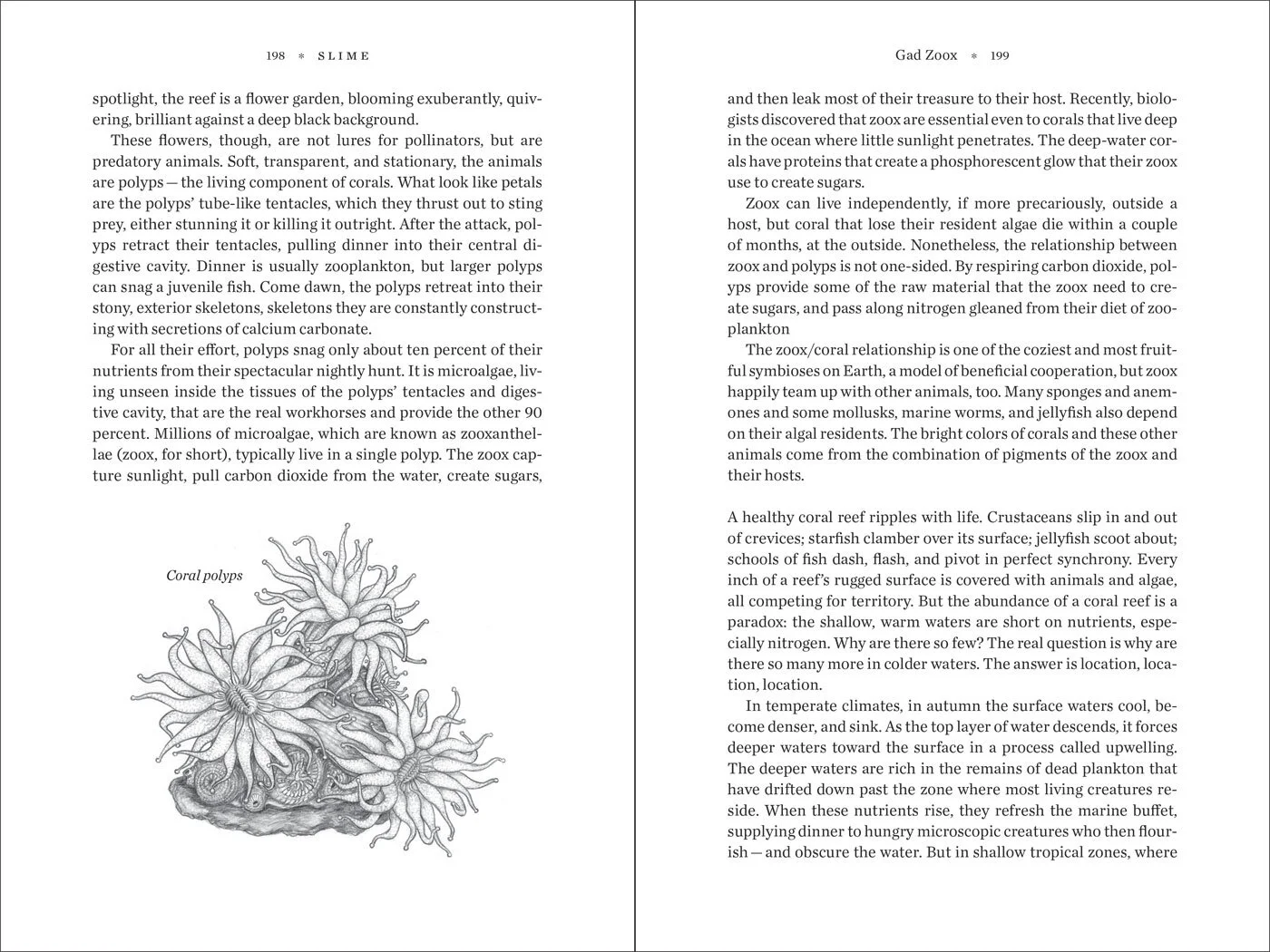 Kassinger_SLIME_198-199_frames.jpg
