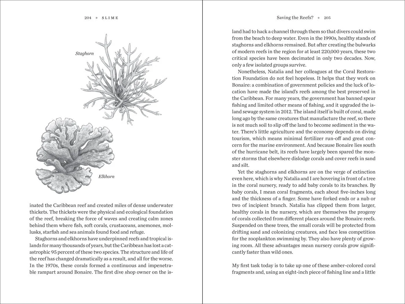Kassinger_SLIME_204-205_frames.jpg