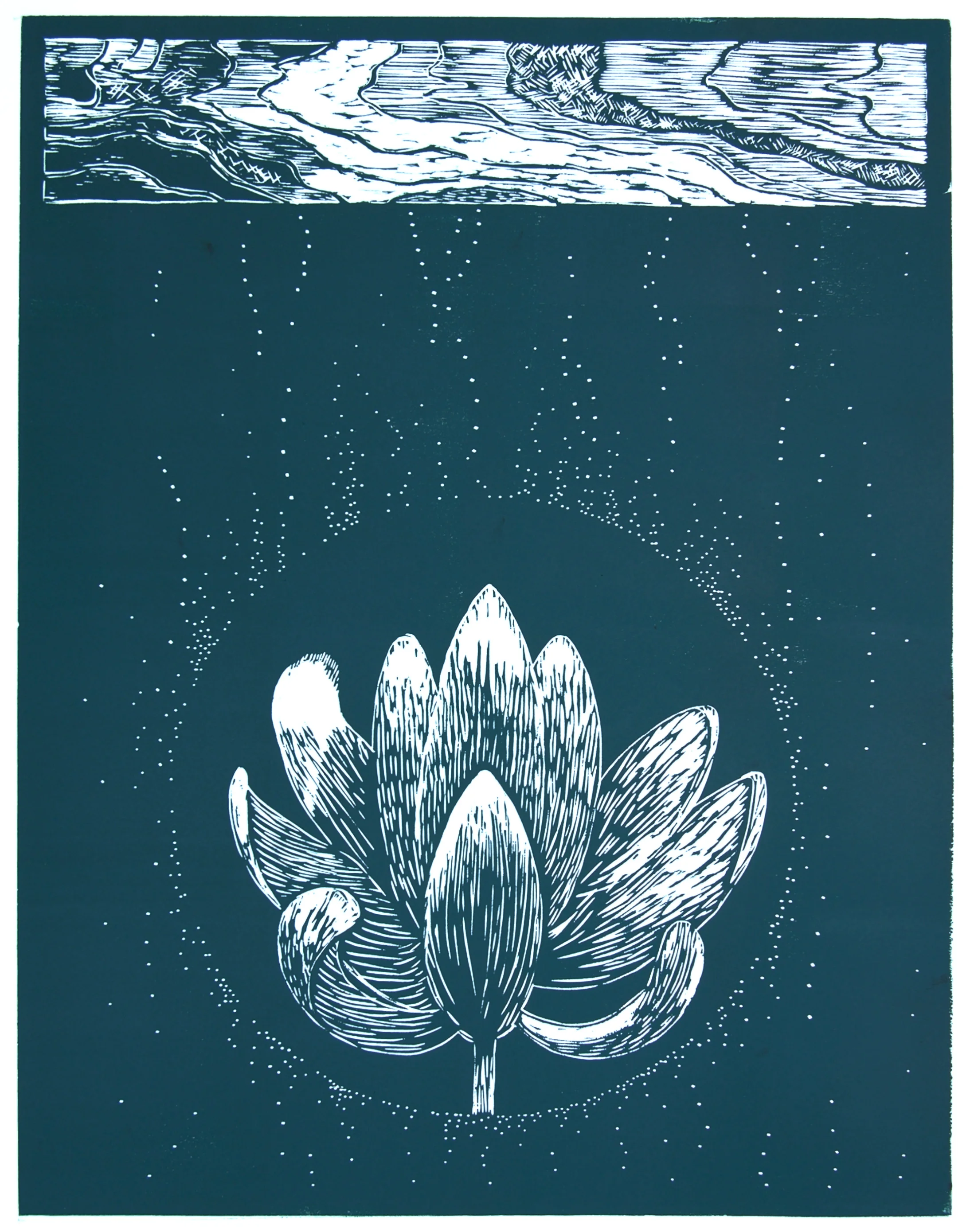 Lotus Teal