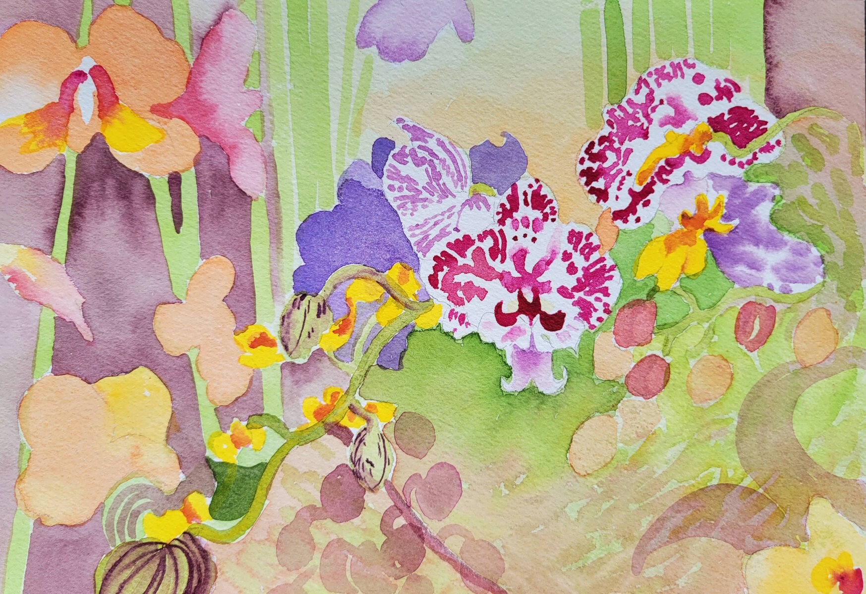Orchids were the subject in my #chicagobotanicgarden watercolor and colored pencil drawing classes this week. I had fun rendering the same subject in two different media.  My next session starts mid-May! #coloredpencildrawing #botanicalart #chicagobo