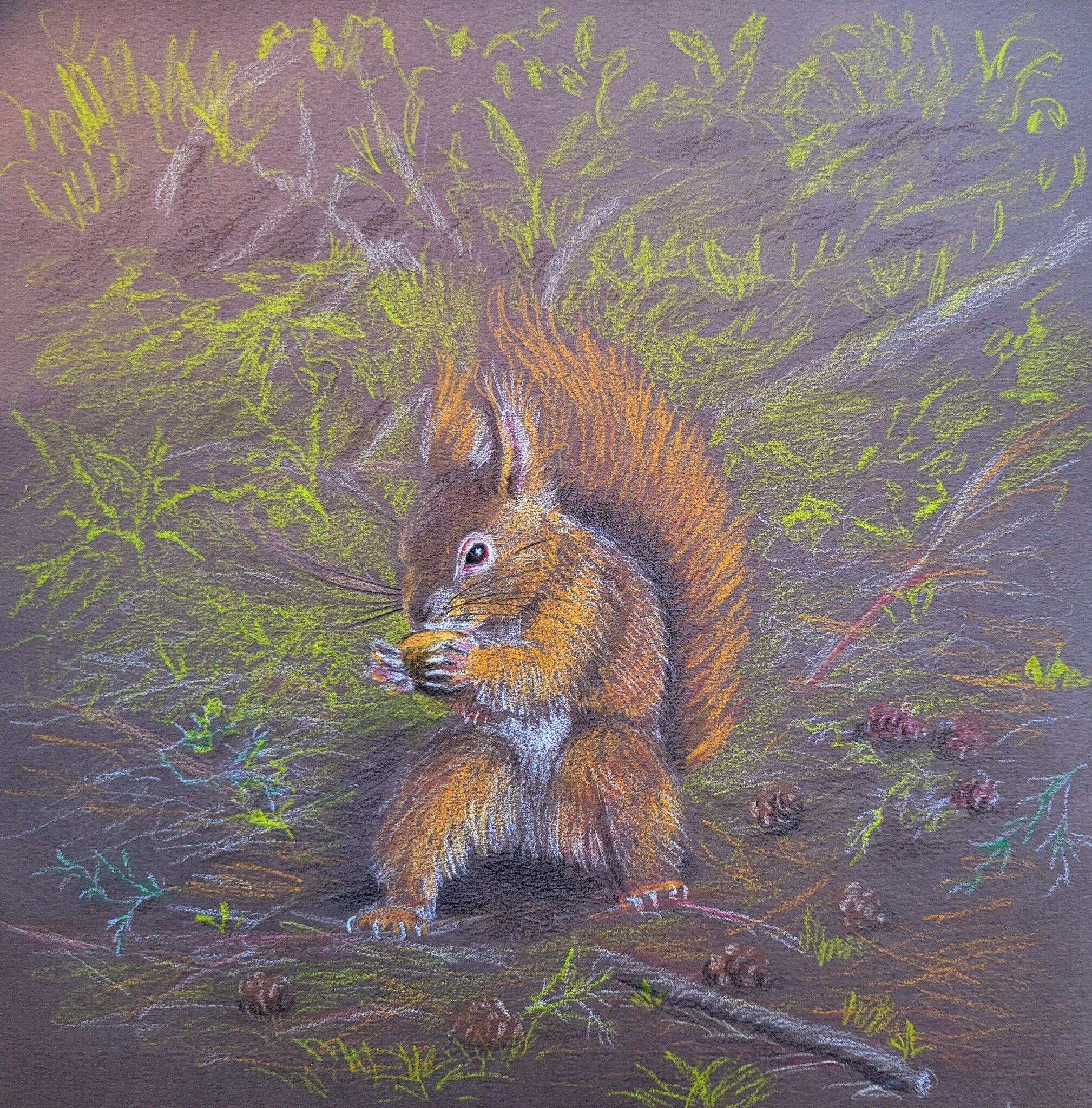 Red Squirrel, 10.5&quot; x 10.5&quot;, colored pencil. #coloredpencil #coloredpencilinstruciton #coloredpencildrawing #drawinginstruction #chicagobotanicgarden #squirrelnutkin #channelingbeatrixpotter