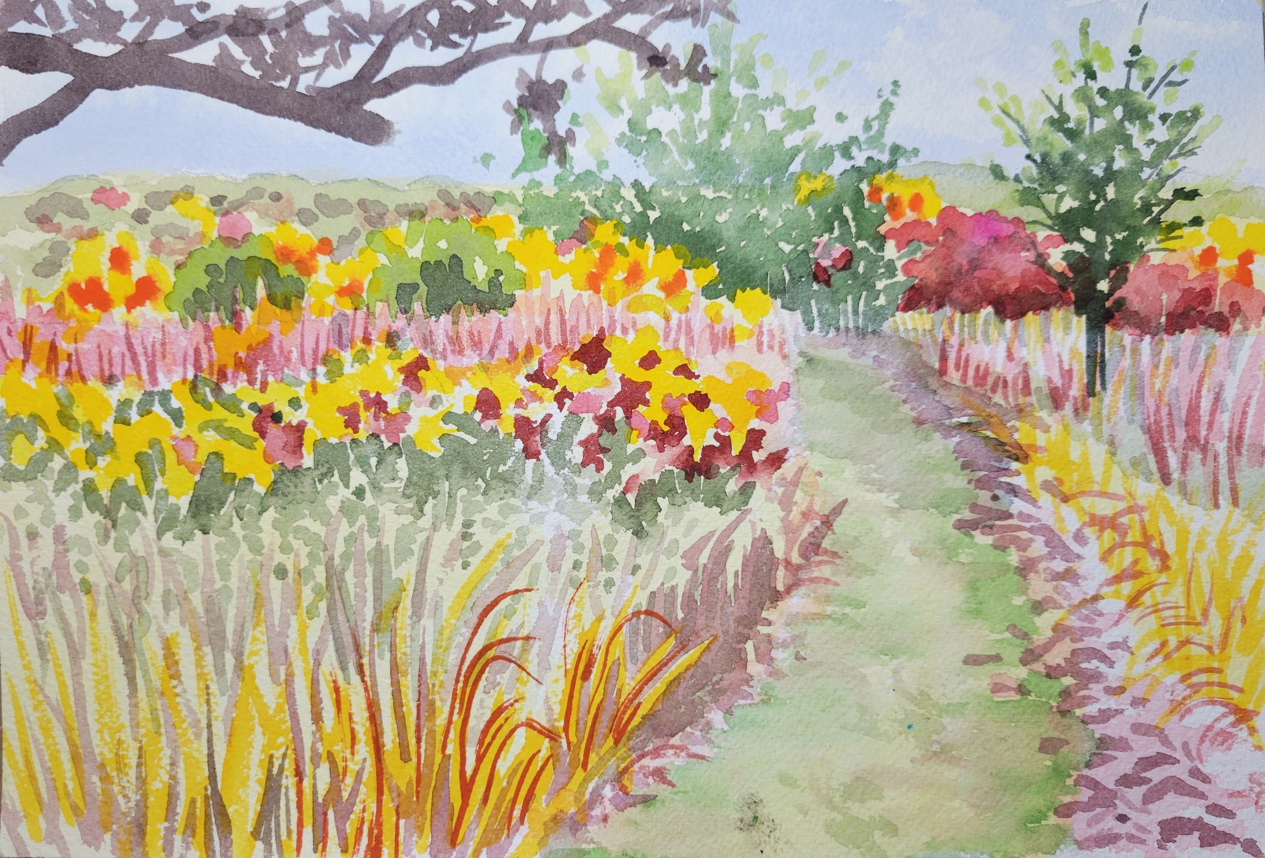 JUDITH_JOSEPH_OWEN_CONSERVATION_PARK_AFTER_PHOTO_BY_DENISE_CARISKI.jpg