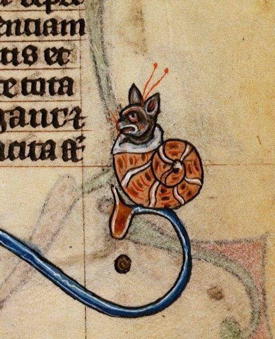 1300s snail cat maasstricht hours netherlands.jpg