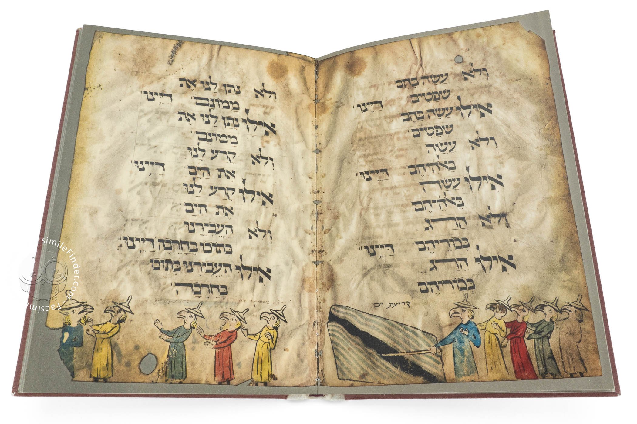 z-birds-head-haggadah-facsimile-edition-06_ca1300.jpg