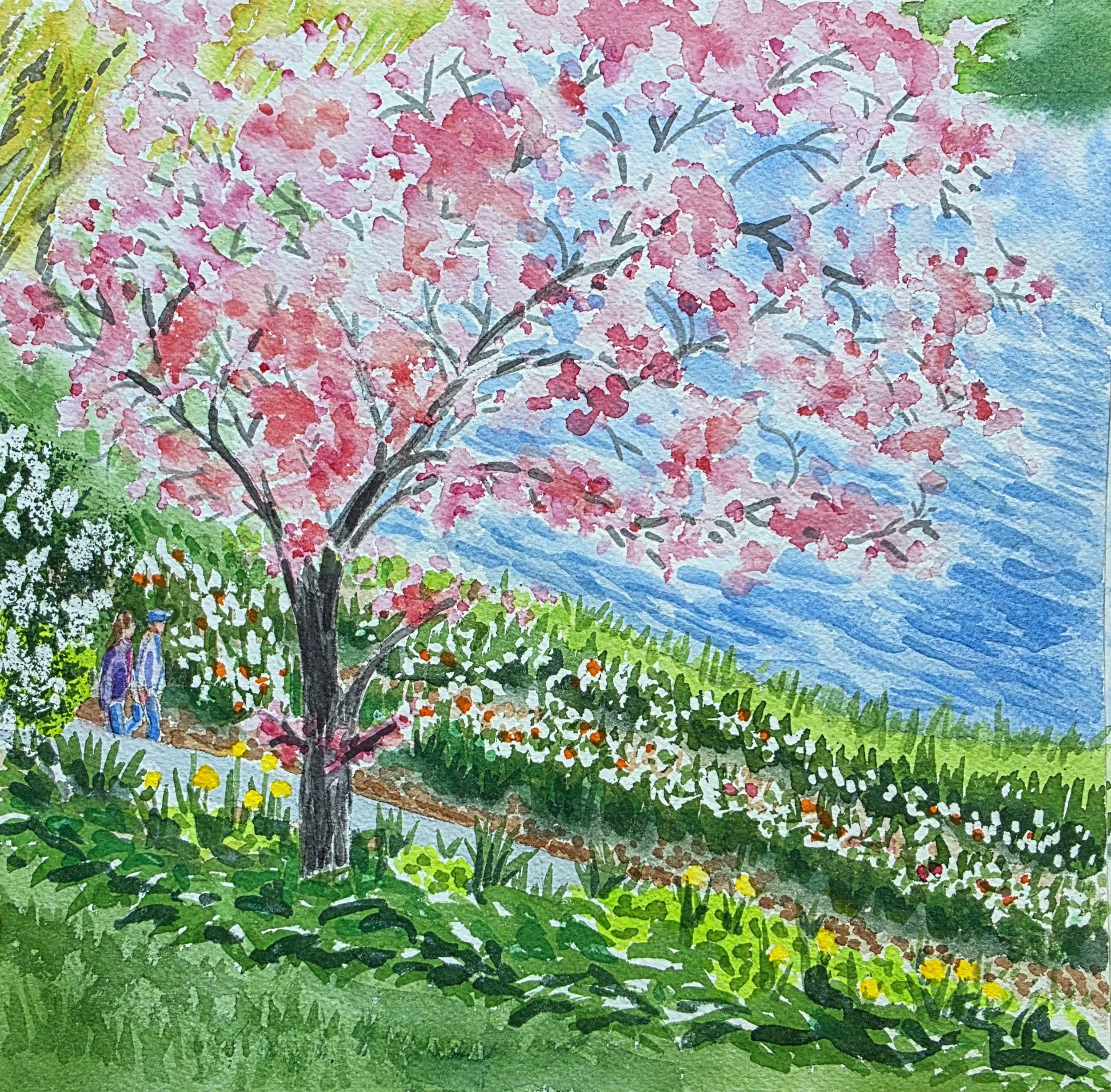 Flowering Crab Tree, Chicago Botanic Garden