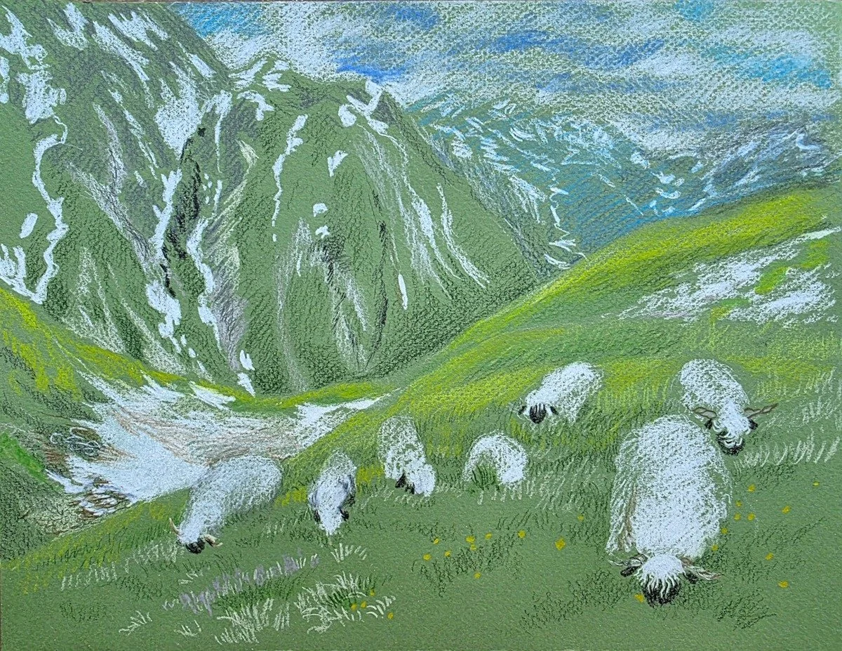 The algorithm has figured out that I love cute animals. So I keep getting videos of Blacknose Valois sheep in my feed. I thought it would be fun to draw them, so I selected an alpine view for my #coloredpencildrawing class for the #chicagobotanicgard