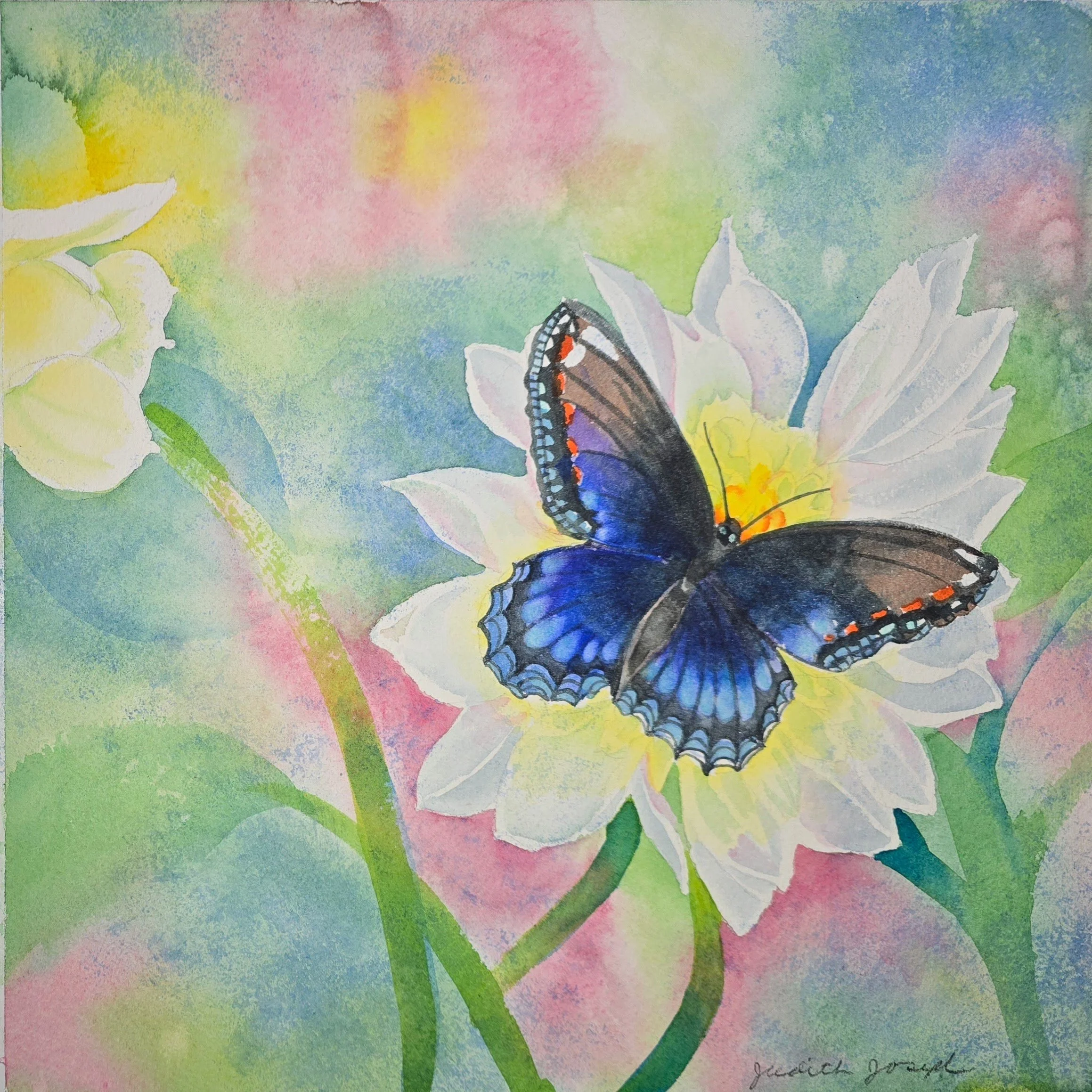 butterfly_flower_judith_joseph (2).jpg