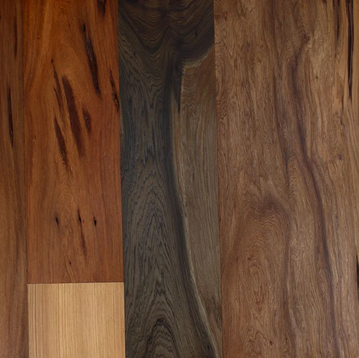 cypress_peckygallery.jpg