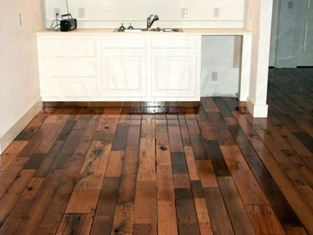 1024x485_fit_beechweb1.jpg