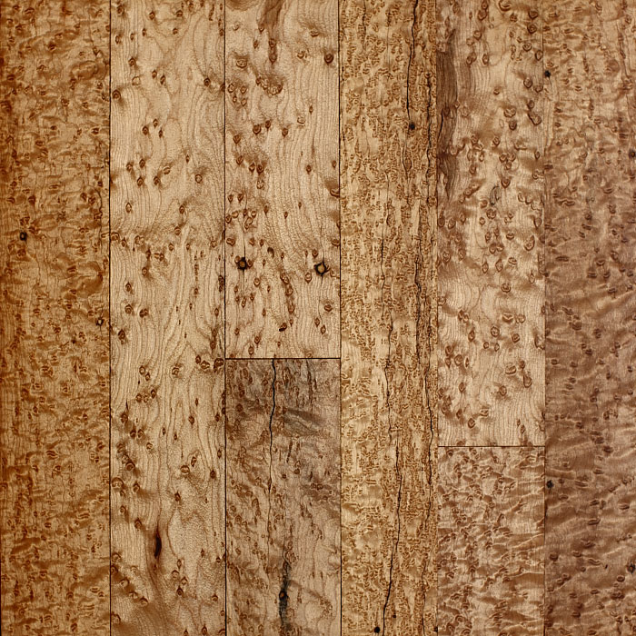 maple_birdseye.jpg