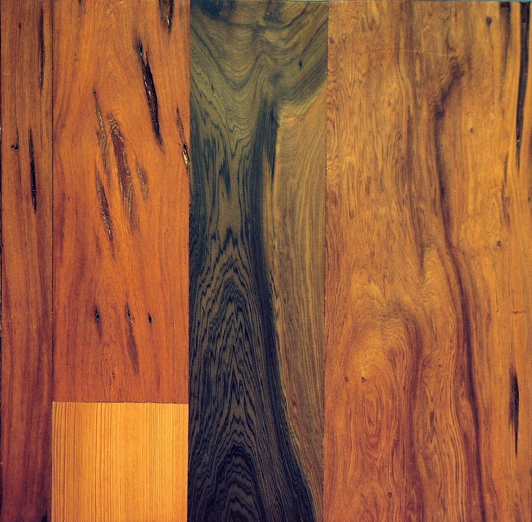riverrecoveredcypress.jpg