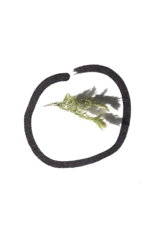 test3.jpg