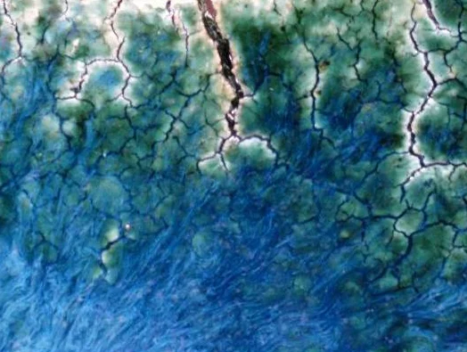 Detail