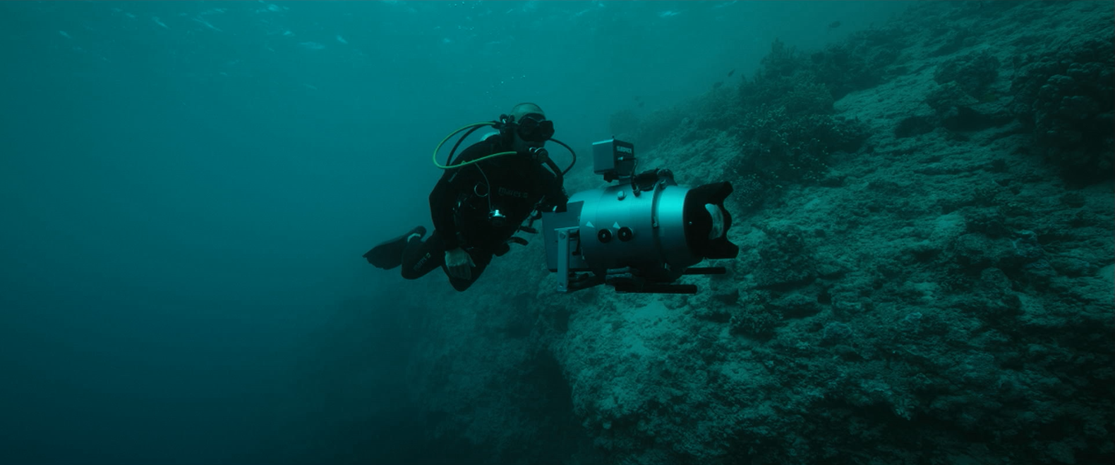Specialized Camera Systems for Underwater Filming