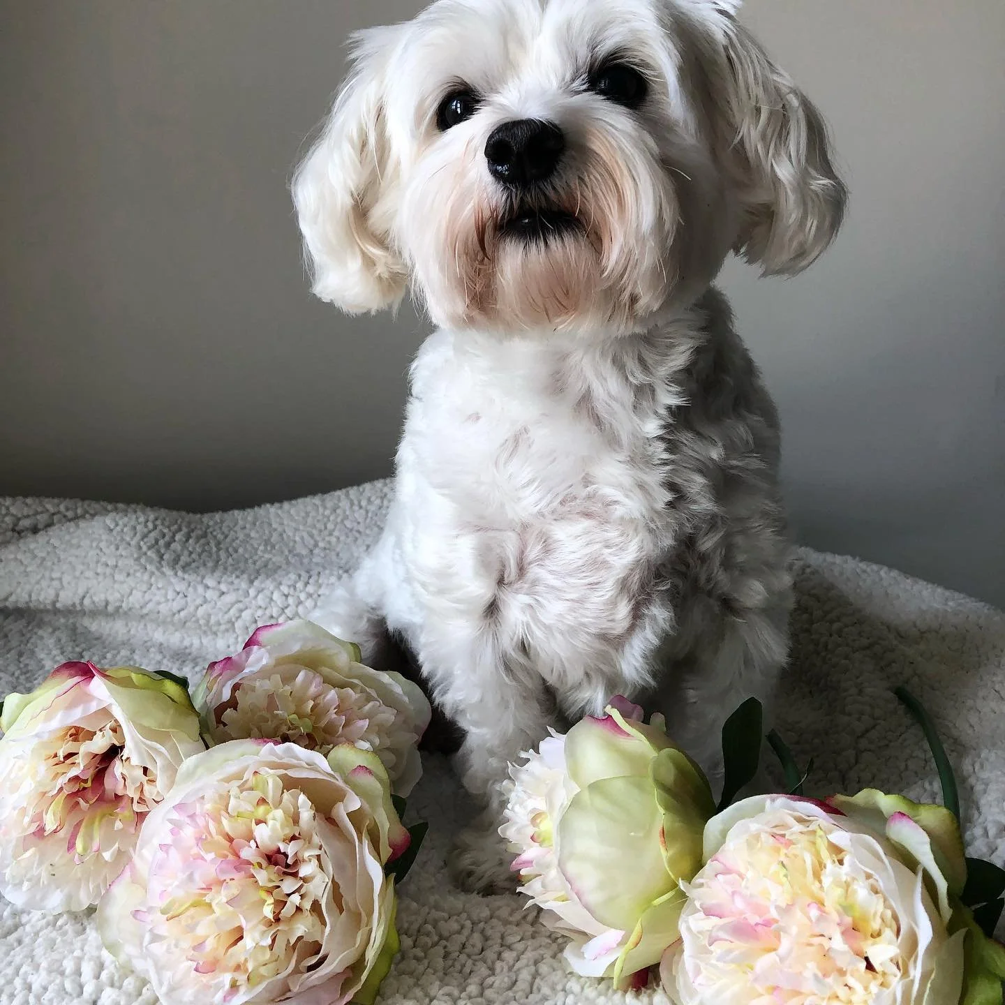 The world is a crazy place. But we will get through all of this CHANGED and better than before. Wishing everyone love, support, and friendship. No matter what, we will stick together. 💕