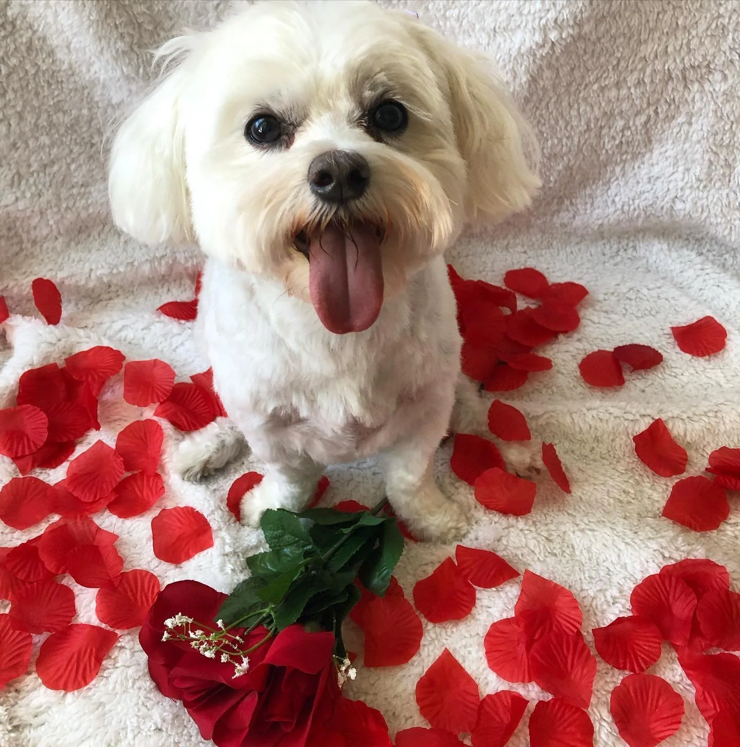 Just one word and I&rsquo;m yours. 😘
Yes, &ldquo;treat&rdquo;. What did you think I meant?