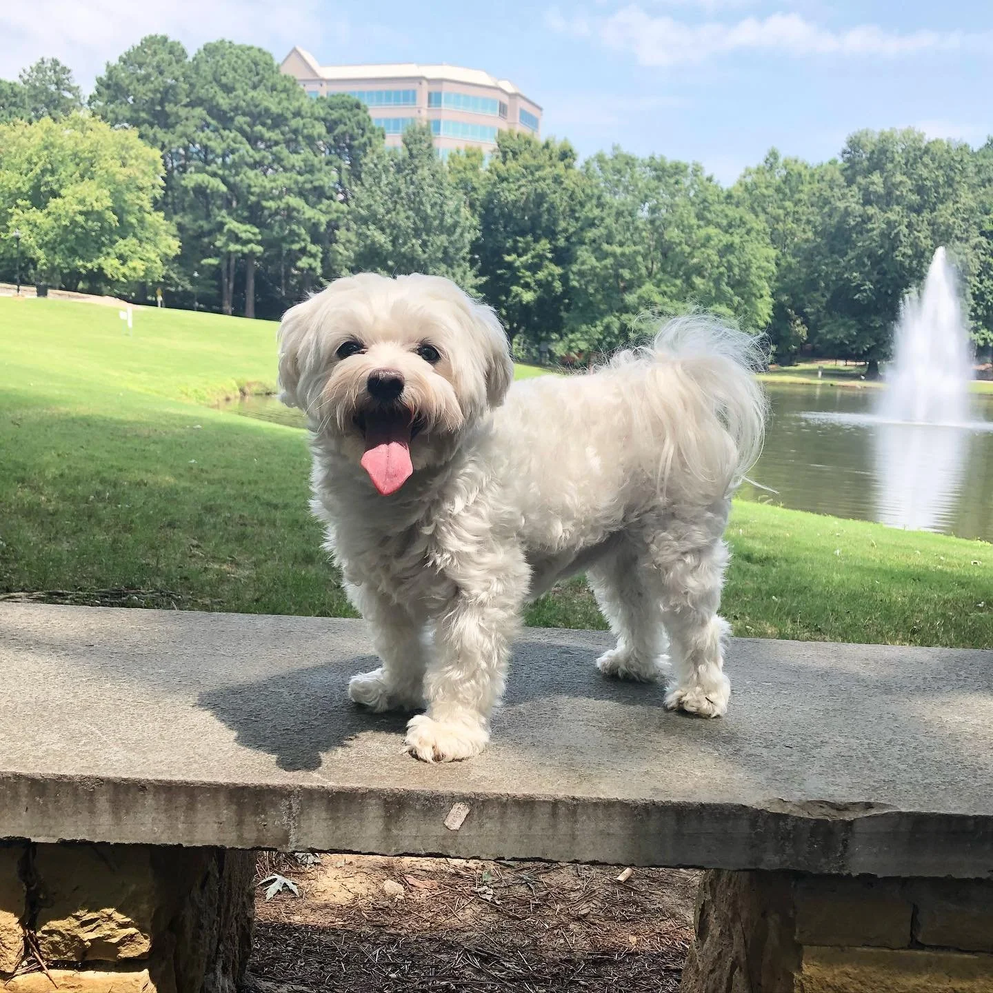Same tongue, different day. Happy Tuesday! 😘👅
#TOT #tongueouttuesday