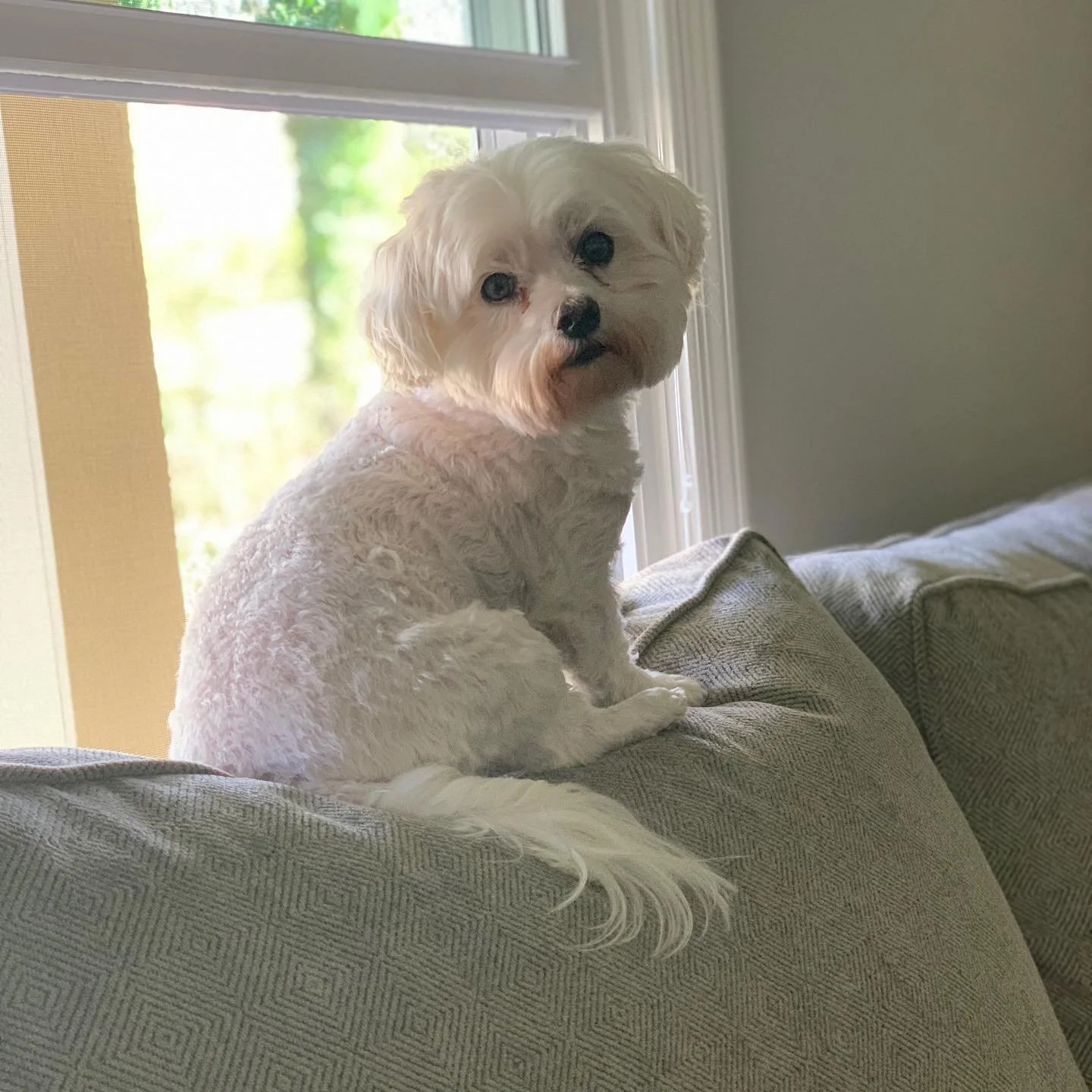 If you need me, I&rsquo;ll be right here. 😘