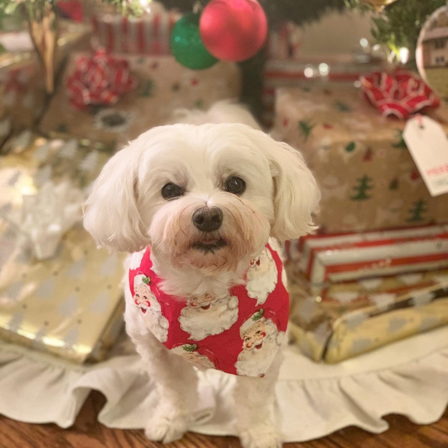 The only present you need this year 😉😘🎁