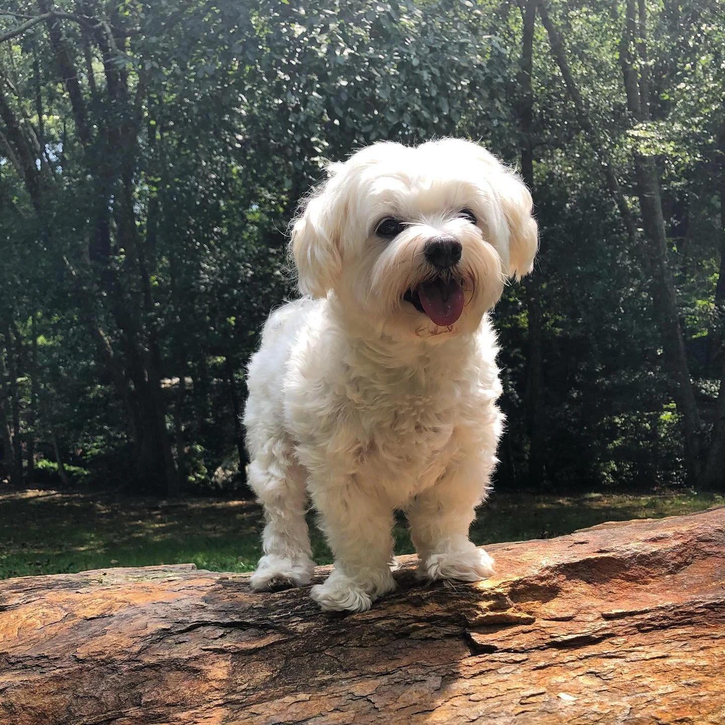 Take on Tuesday with confidence! You got this. 💪