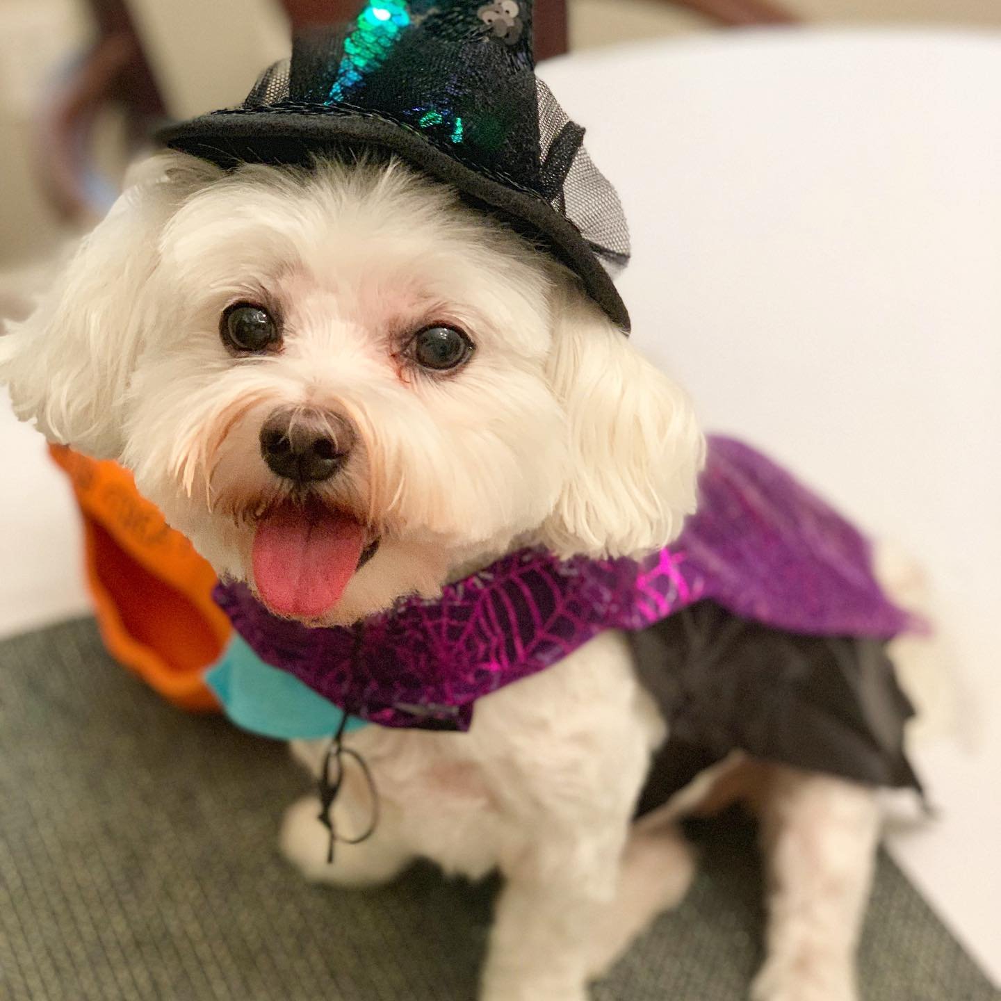 Move over, there&rsquo;s a new witch in town. 🧙&zwj;♀️😈