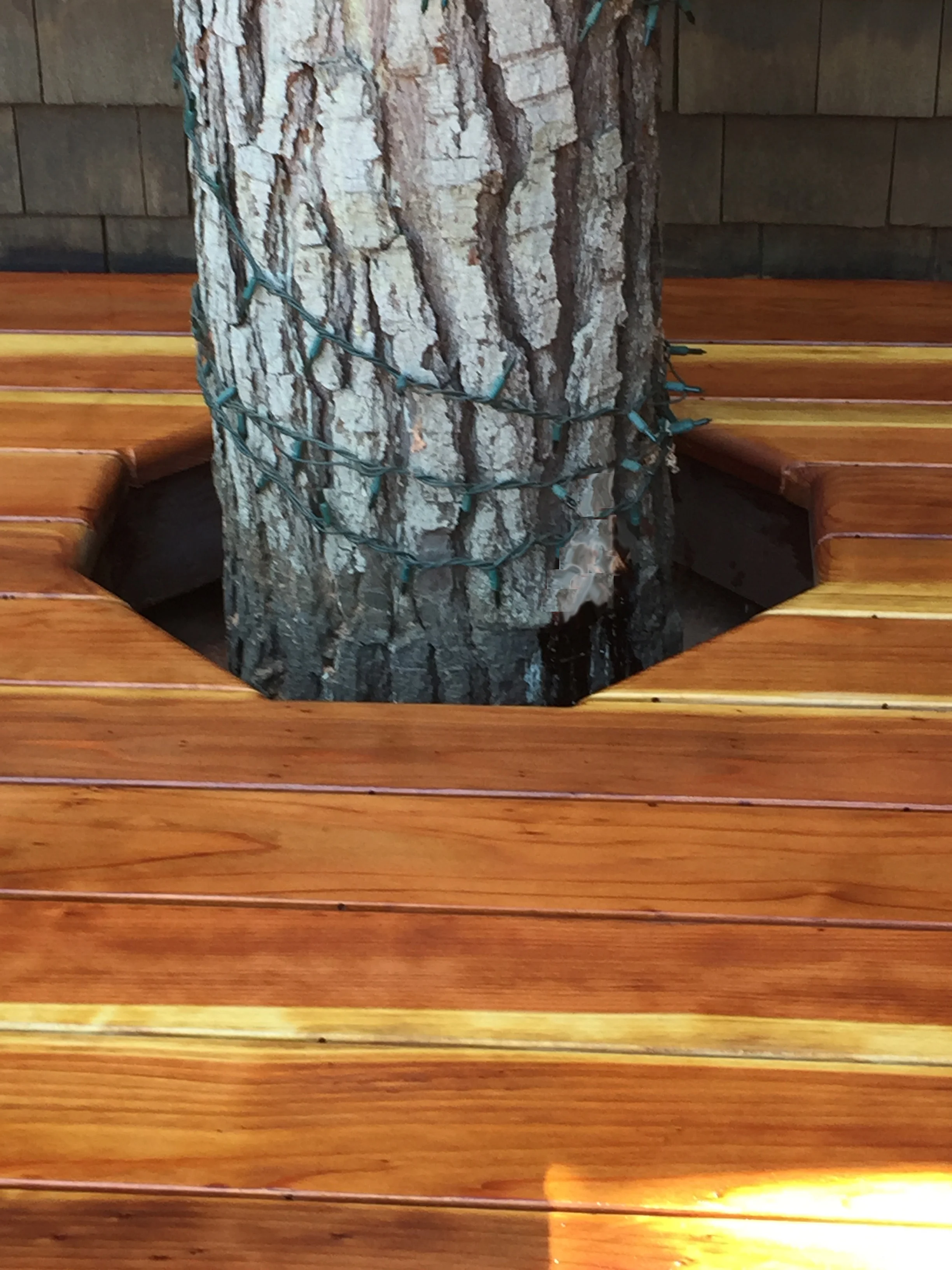 TreeDeck.jpg