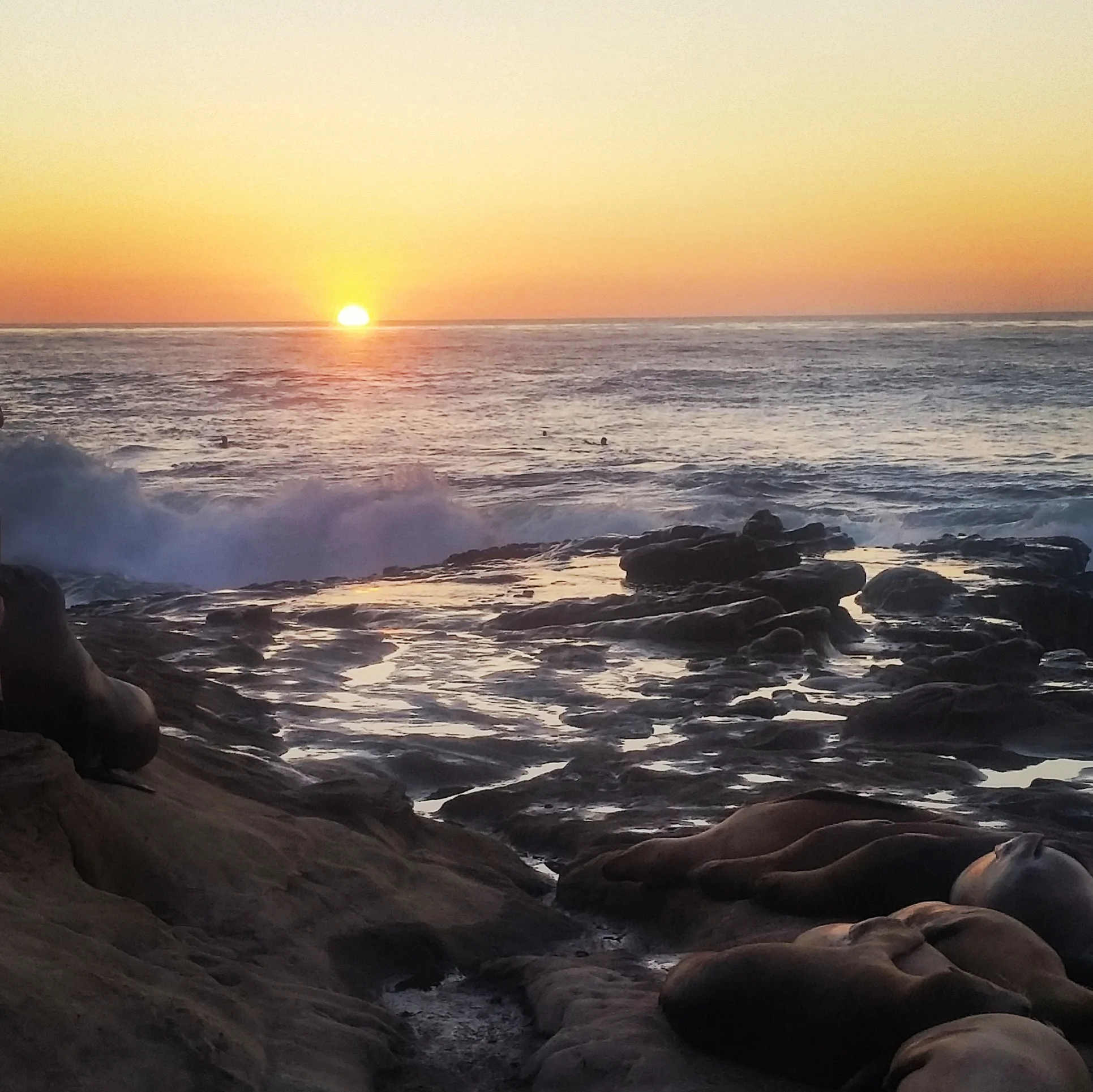 Travel Diary: San Diego