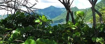 Image via A Virtual Dominica