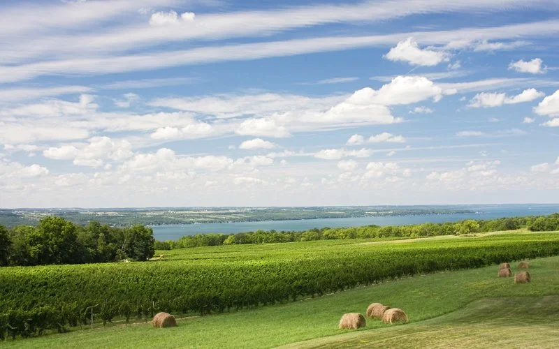 Finger Lakes.jpg