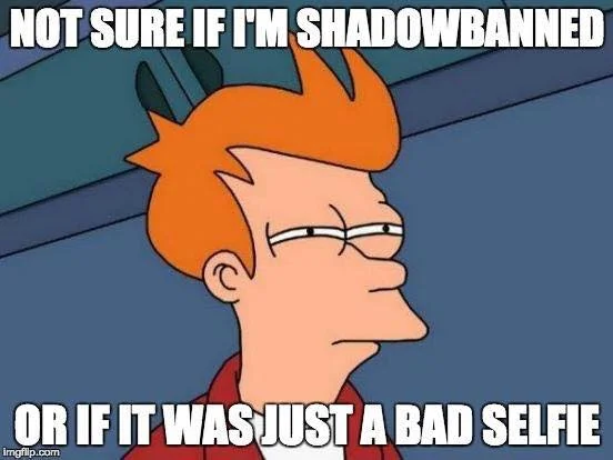 Instagram Shadowban Meme.jpg