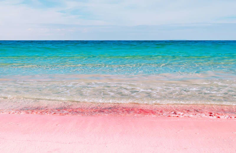 Bermuda Pink Sand Beach.jpg