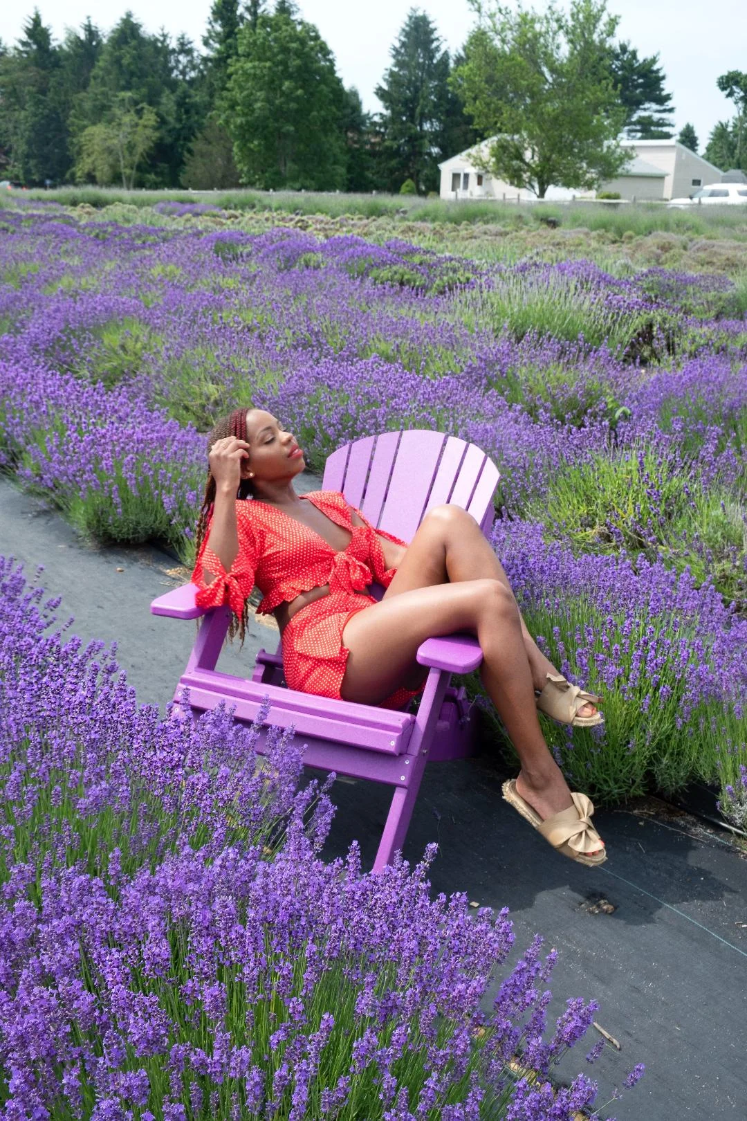 Lavender by the Bay North Fork.jpg