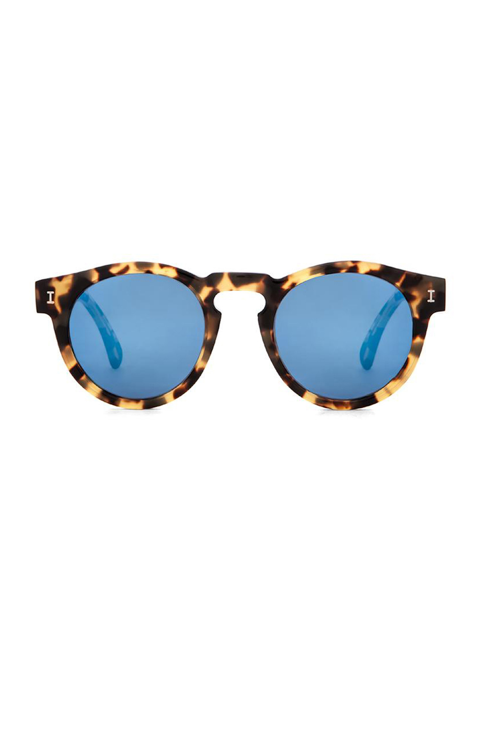 Blue and Tortoise Sunglasses.jpg