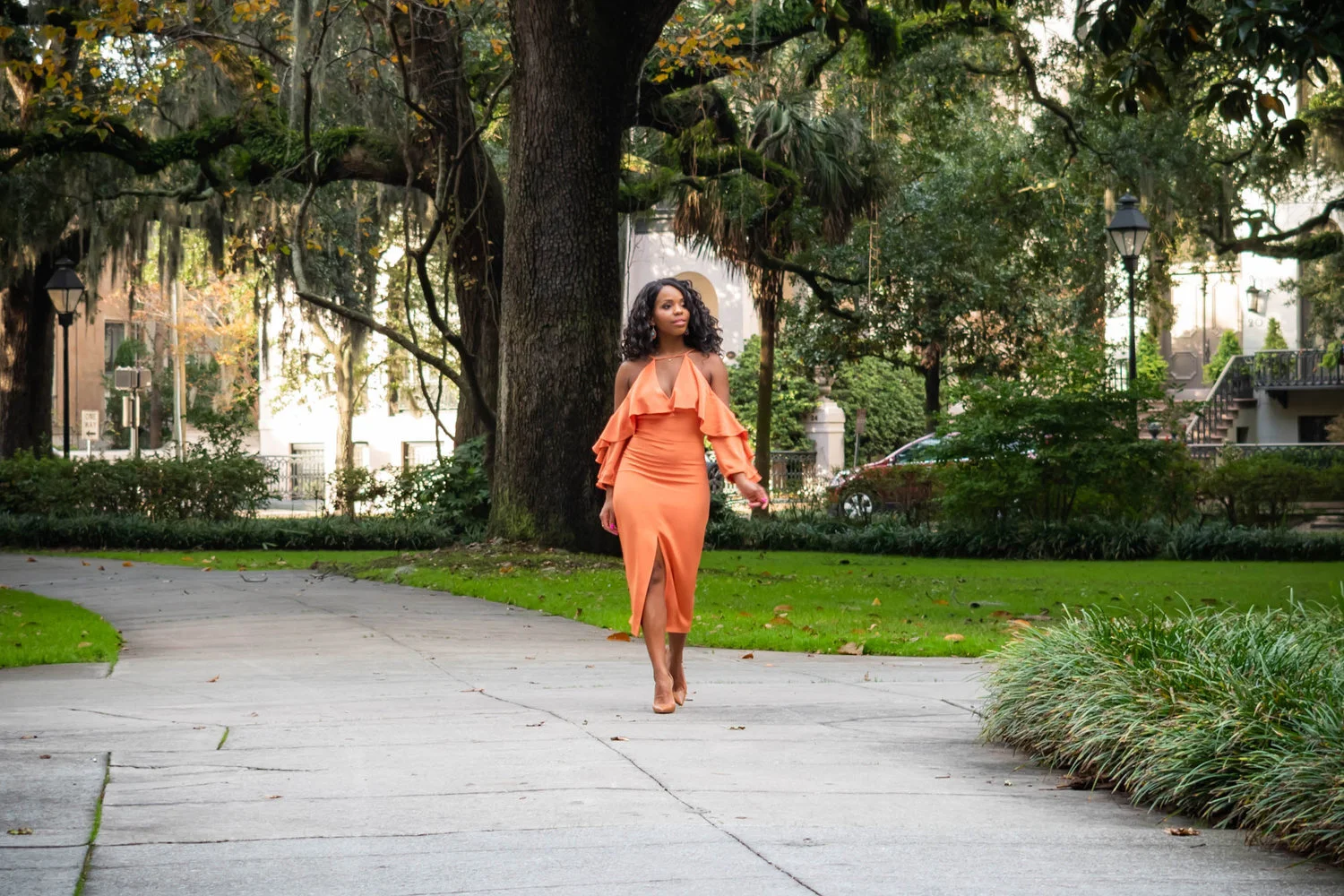 3 Savannah Travel Tips You Need Now!