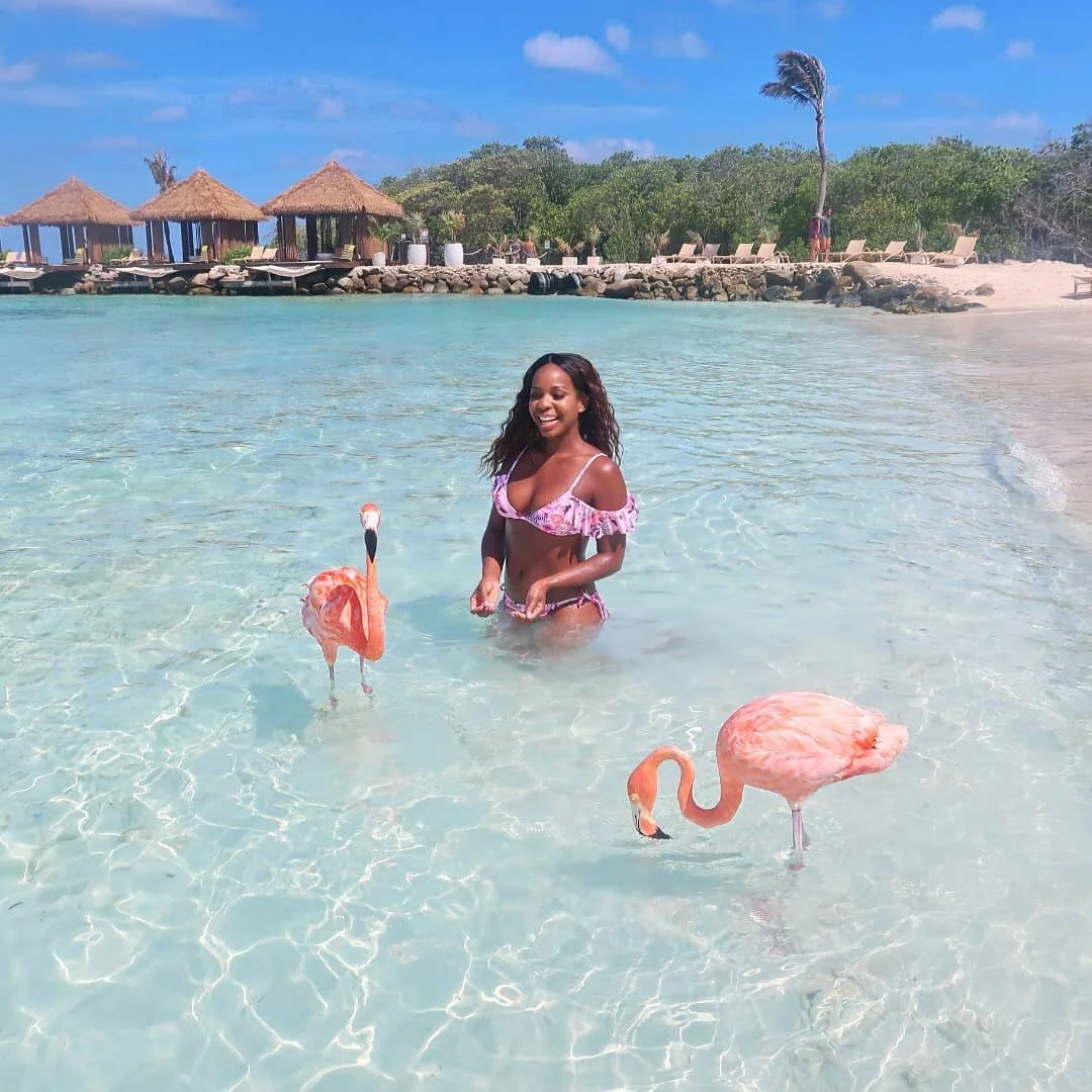 3 Ways to See Flamingos in Aruba