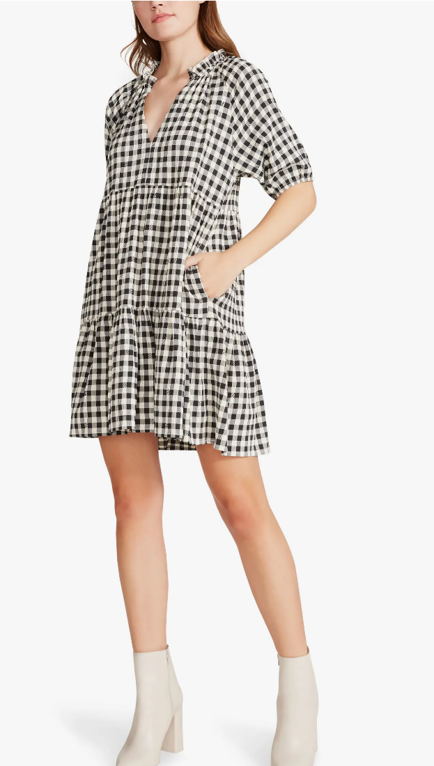 BB Dakota Picnic Ready Swing Dress.png