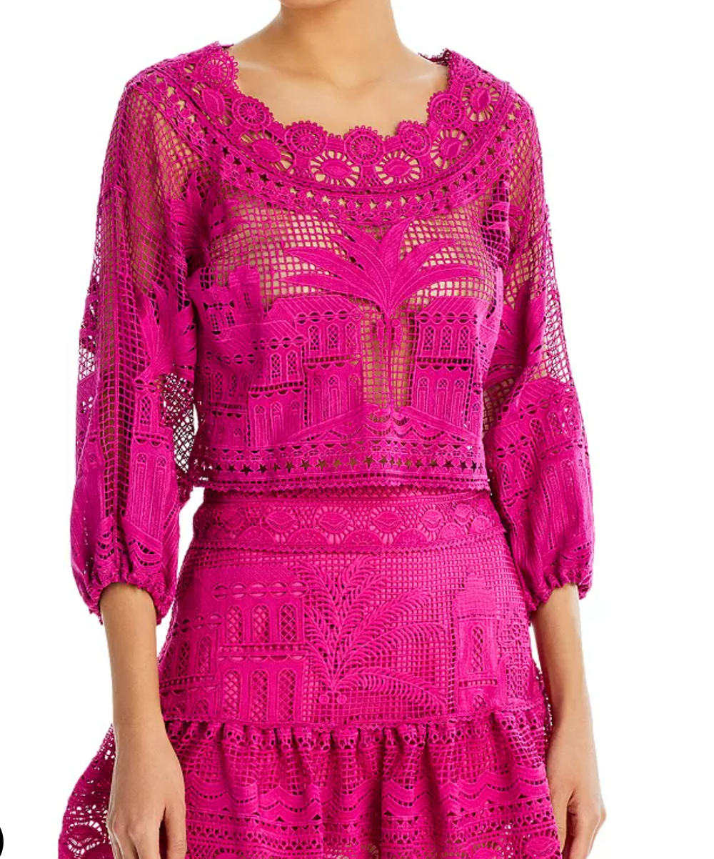 FARM RIO Alucina Luz Guipure Lace Top.png