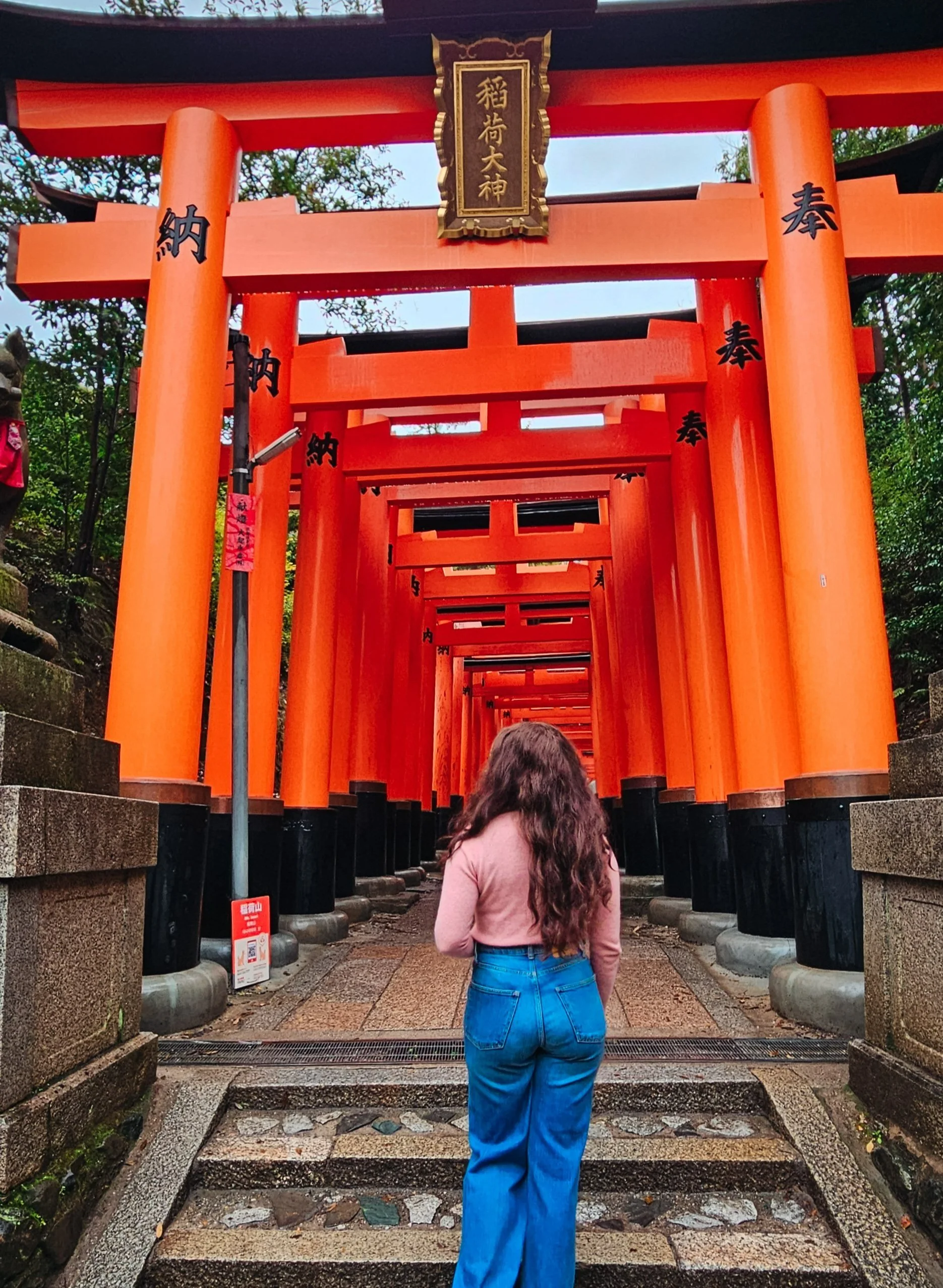 Planning Your Dream Trip to Japan: Essential Tips for an Unforgettable Adventure
