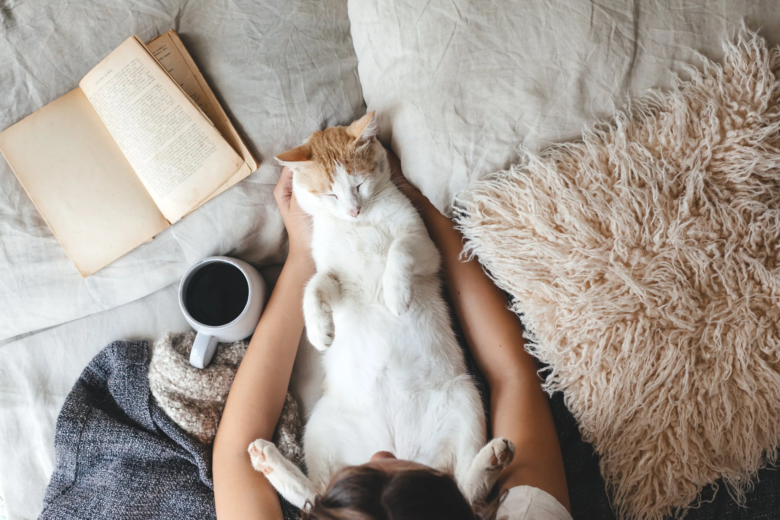 Things We Love for the Home and Garden