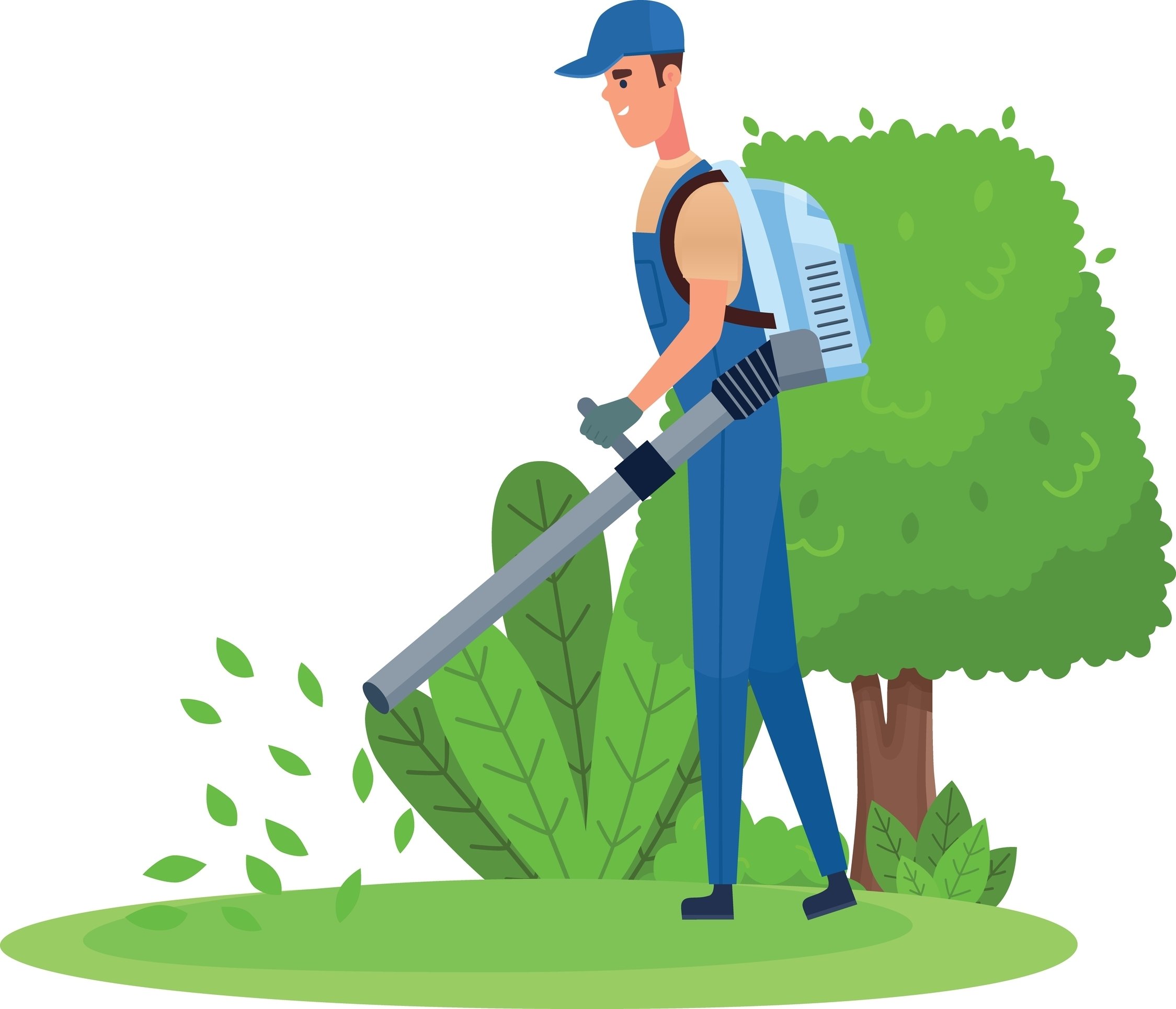 Palm Springs Leaf Blower Ordinance 