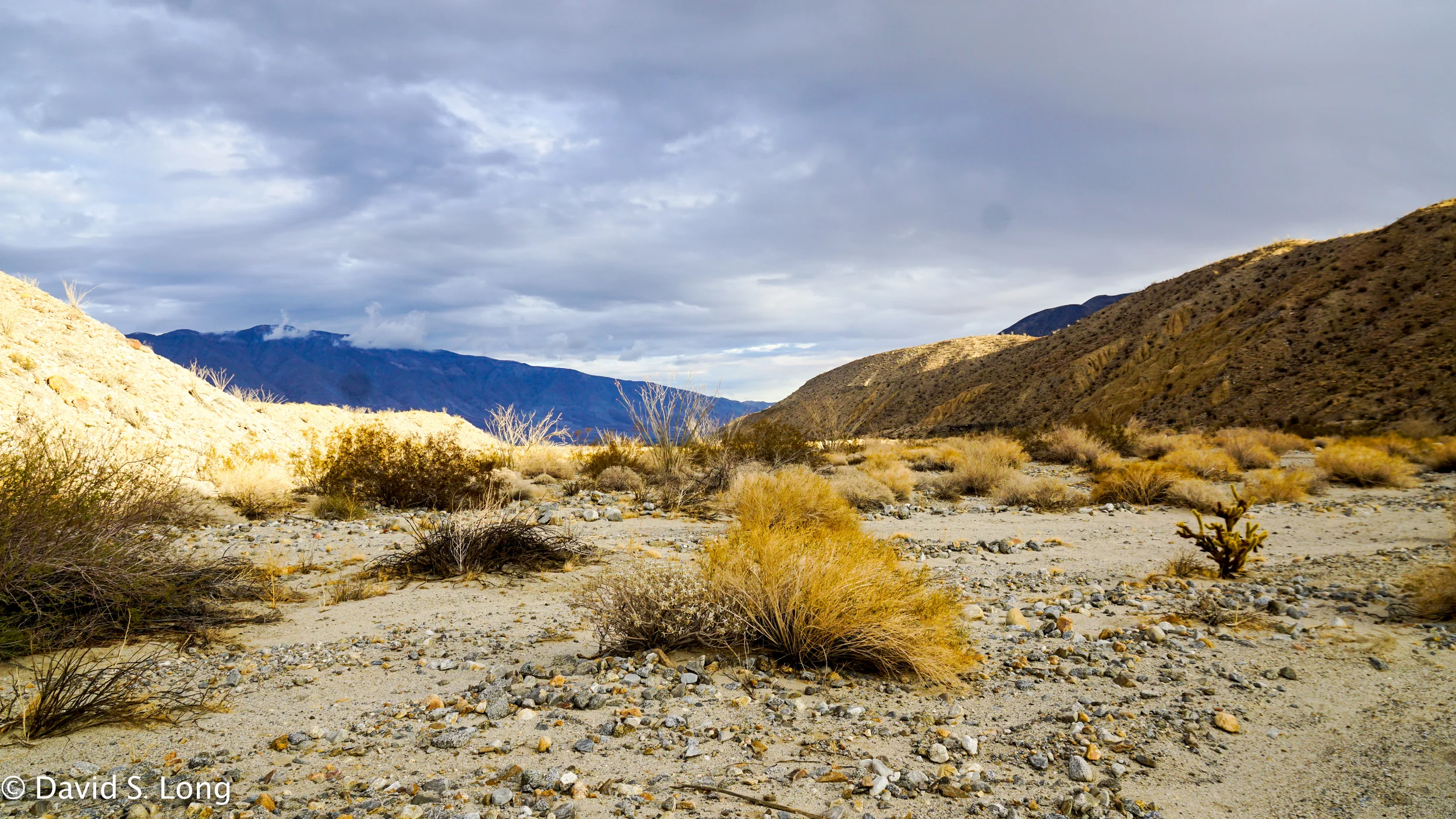 Anza-Borrego Wash
