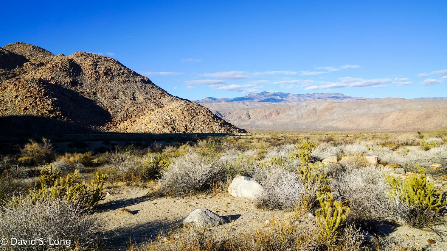 Anza-Borrego