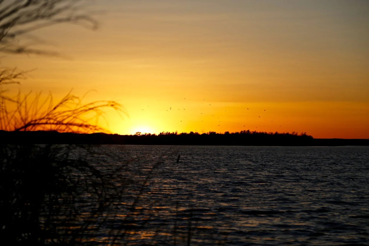 IMG_5951.jpg
