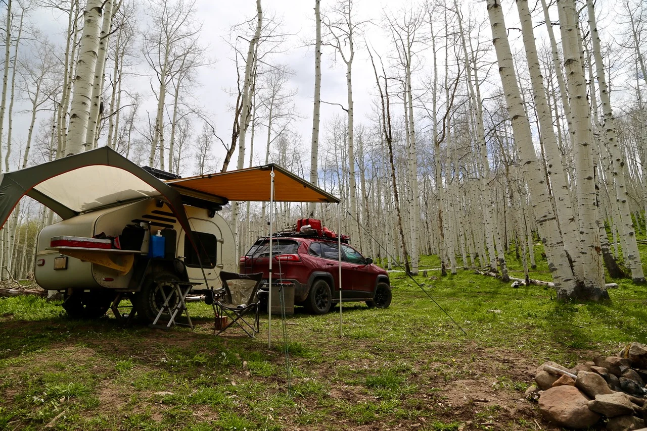 Camp at Kebler Pass