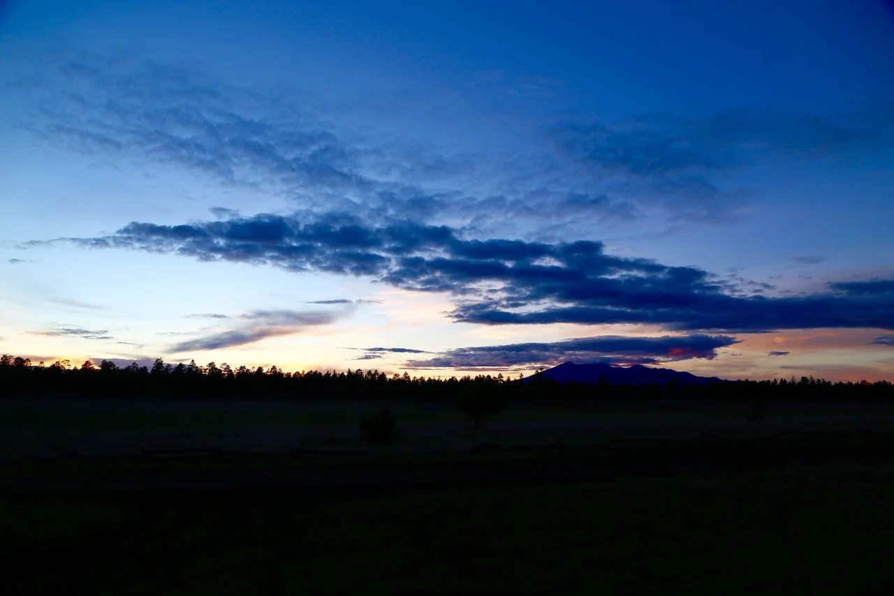 IMG_6973.jpg