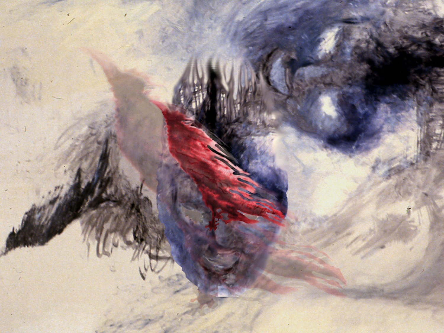 BirdMask_small.jpeg