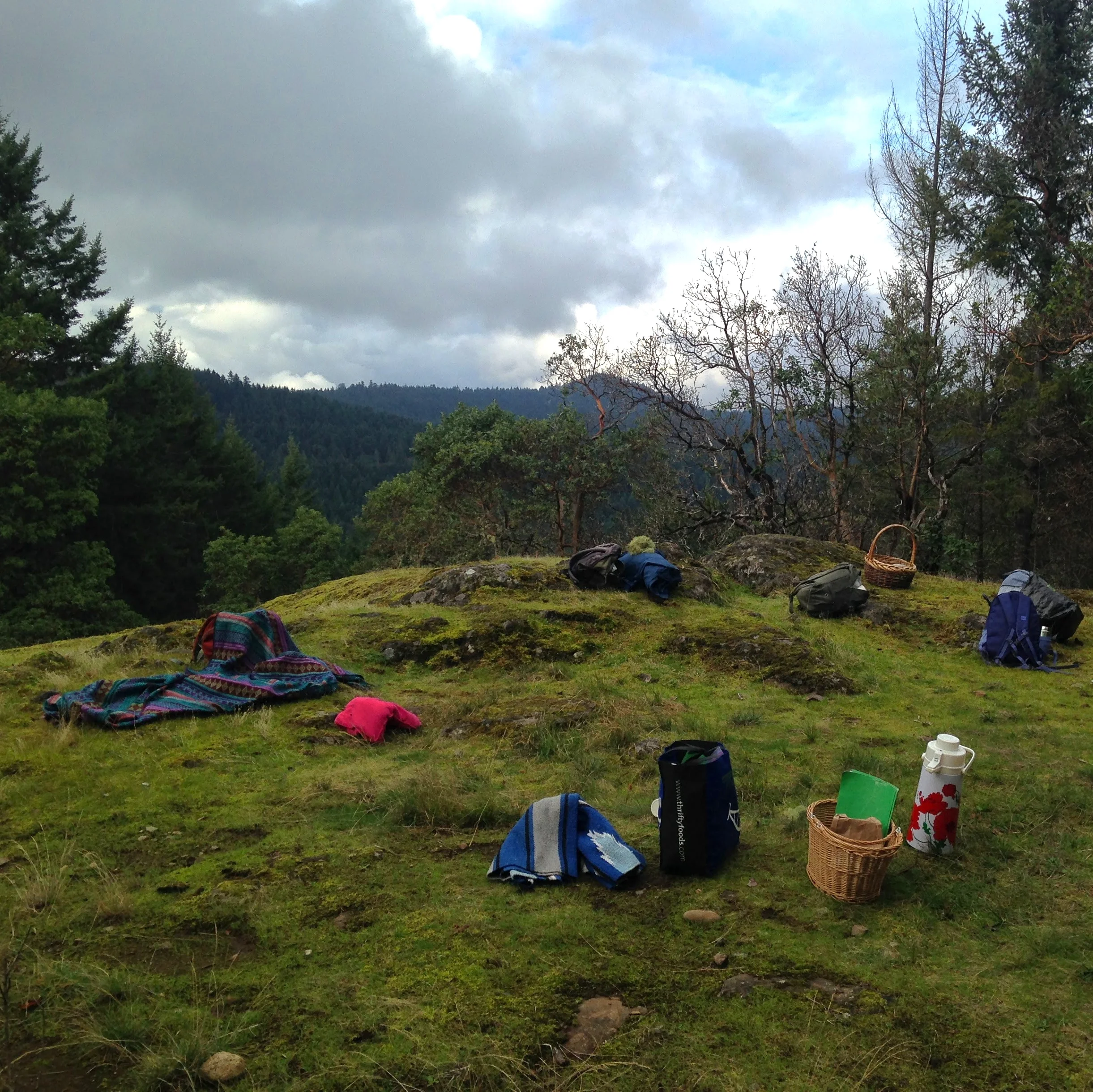 forestmedcircle.jpg