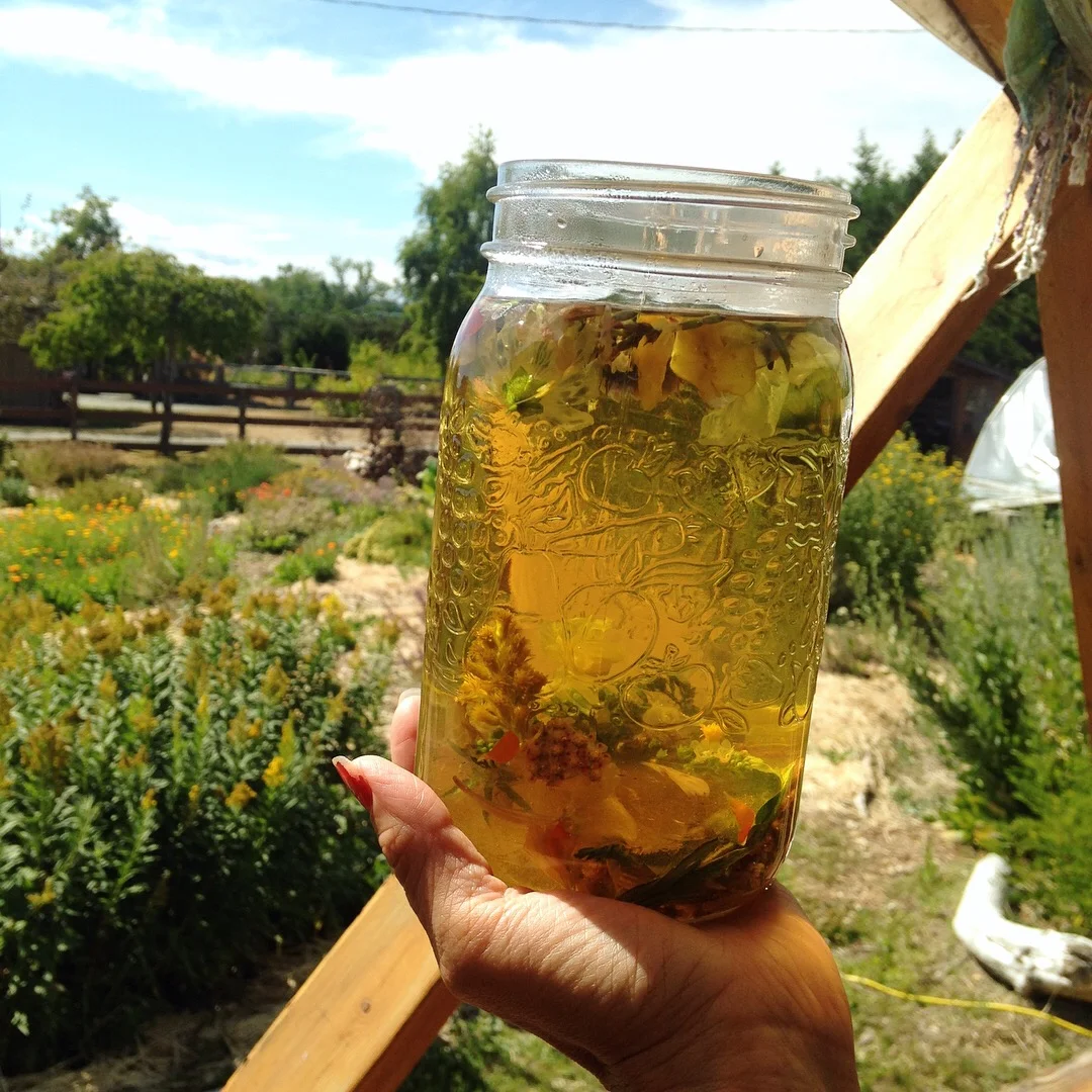 Infused Vinegars and Fire Cider