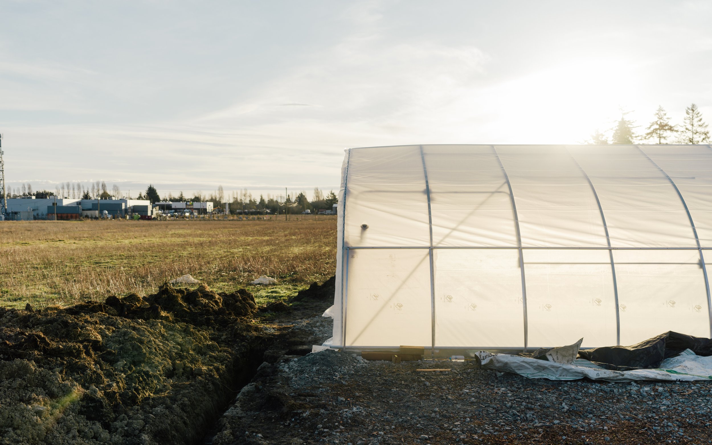 Sandown-Centre-greenhouse.JPG